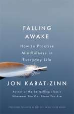 Kabat-Zinn, J: Falling Awake