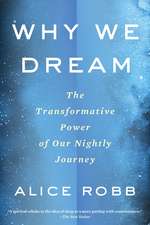 Why We Dream: The Transformative Power of Our Nightly Journey