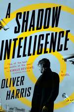 A Shadow Intelligence