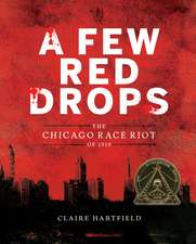 A Few Red Drops: The Chicago Race Riot of 1919