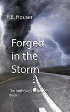 Forged in the Storm