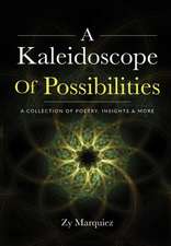 A Kaleidoscope Of Possibilities