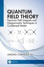 Quantum Field Theory: Feynman Path Integrals and Diagrammatic Techniques in Condensed Matter