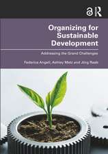 Organizing for Sustainable Development: Addressing the Grand Challenges