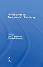 Perspectives On Southwestern Prehistory