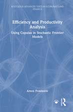 Efficiency and Productivity Analysis: Using Copulas in Stochastic Frontier Models