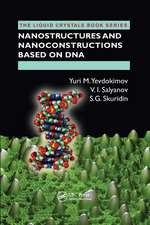 Nanostructures and Nanoconstructions based on DNA