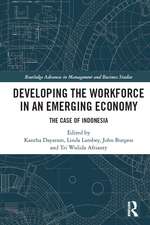 Developing the Workforce in an Emerging Economy: The Case of Indonesia