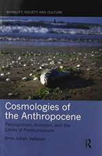 Cosmologies of the Anthropocene: Panpsychism, Animism, and the Limits of Posthumanism