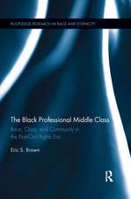 The Black Professional Middle Class: Race, Class, and Community in the Post-Civil Rights Era