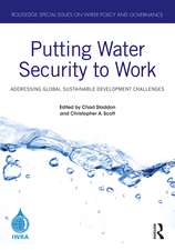 Putting Water Security to Work: Addressing Global Sustainable Development Challenges