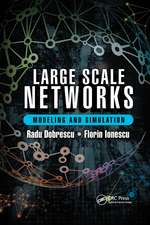 Large Scale Networks: Modeling and Simulation