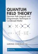 Quantum Field Theory: Feynman Path Integrals and Diagrammatic Techniques in Condensed Matter