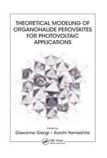 Theoretical Modeling of Organohalide Perovskites for Photovoltaic Applications