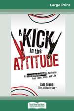 A Kick in the Attitude