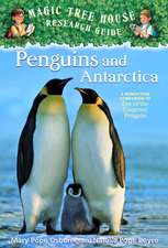 Penguins and Antarctica