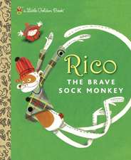 Rico the Brave Sock Monkey