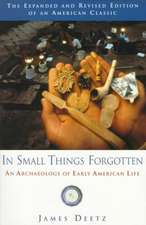 In Small Things Forgotten: An Archaeology of Early American Life