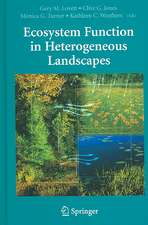 Ecosystem Function in Heterogeneous Landscapes