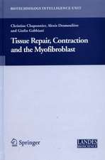 Tissue Repair, Contraction and the Myofibroblast