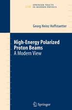 High Energy Polarized Proton Beams: A Modern View