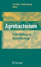 Agrobacterium: From Biology to Biotechnology