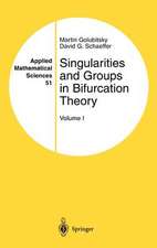 Singularities and Groups in Bifurcation Theory: Volume I