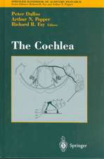 The Cochlea