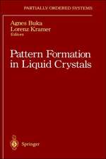 Pattern Formation in Liquid Crystals