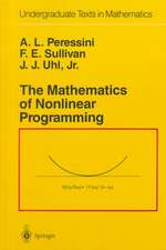 The Mathematics of Nonlinear Programming