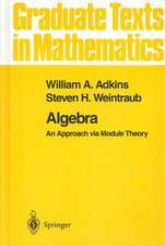 Algebra: An Approach via Module Theory