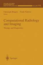 Computational Radiology and Imaging: Therapy and Diagnostics