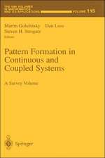 Pattern Formation in Continuous and Coupled Systems: A Survey Volume