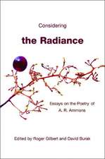 Considering the Radiance – Essays on the Poetry of A. R. Ammons