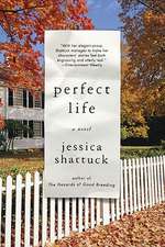 Perfect Life – A Novel