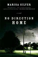 No Direction Home – A Novel