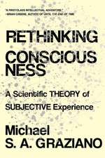 Rethinking Consciousness – A Scientific Theory of Subjective Experience