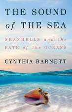 The Sound of the Sea – Seashells and the Fate of the Oceans