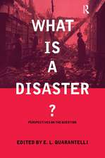 What is a Disaster?: A Dozen Perspectives on the Question