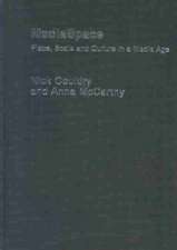 MediaSpace: Place, Scale and Culture in a Media Age