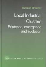 Local Industrial Clusters: Existence, Emergence and Evolution
