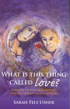 What is This Thing Called Love?: A Guide to Psychoanalytic Psychotherapy with Couples