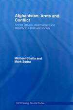 Afghanistan, Arms and Conflict: Armed Groups, Disarmament and Security in a Post-War Society