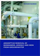 Adsorptive Removal of Manganese, Arsenic and Iron from Groundwater: UNESCO-IHE PhD Thesis