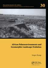 African Palaeoenvironments and Geomorphic Landscape Evolution