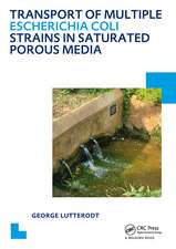 Transport of multiple Escherichia coli strains in saturated porous media: UNESCO-IHE PhD Thesis