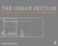 The Urban Section: An analytical tool for cities and streets