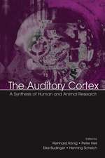 The Auditory Cortex: A Synthesis of Human and Animal Research