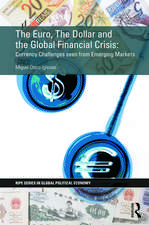 The Euro, The Dollar and the Global Financial Crisis: Currency challenges seen from emerging markets