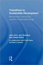 Transitions to Sustainable Development: New Directions in the Study of Long Term Transformative Change